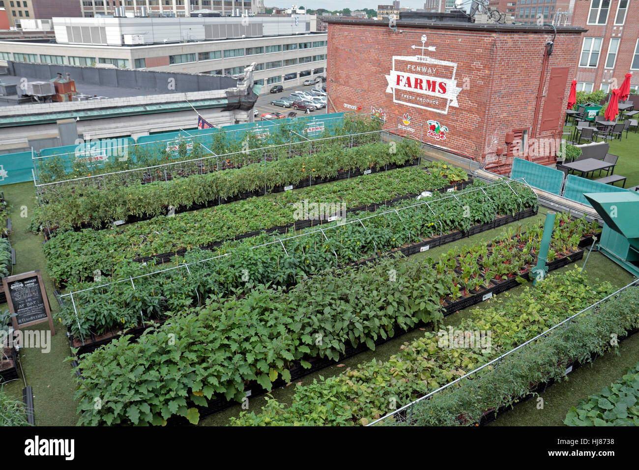 The Fenway Park vegetable garden (Fenway Farms) inside Fenway Park