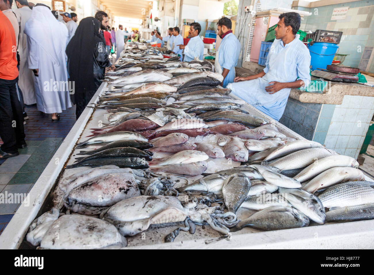 Abu dhabi fish market hires stock photography and images Alamy
