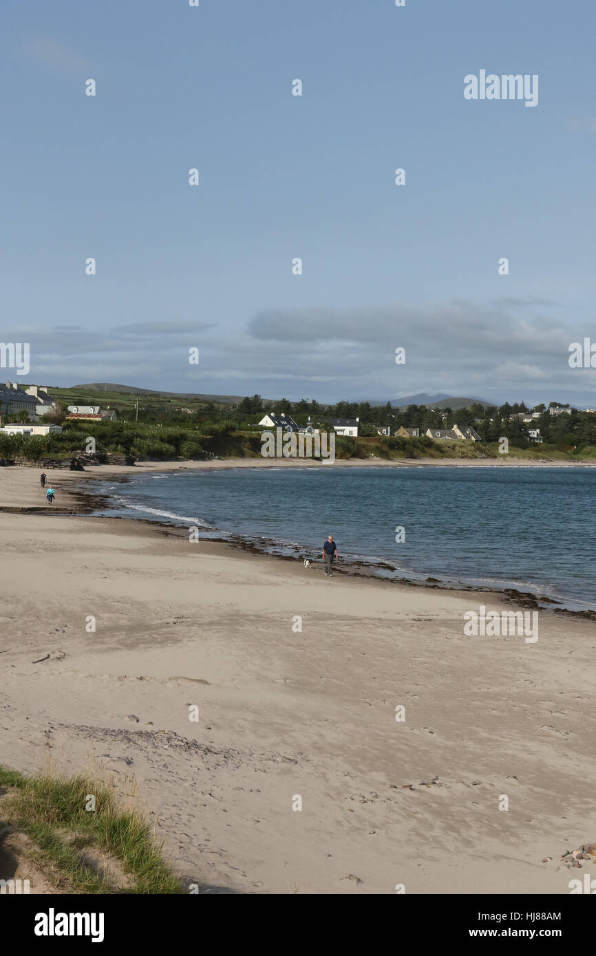 The beach at Ballinskelligs, County Kerry, Ireland. Stock Photo