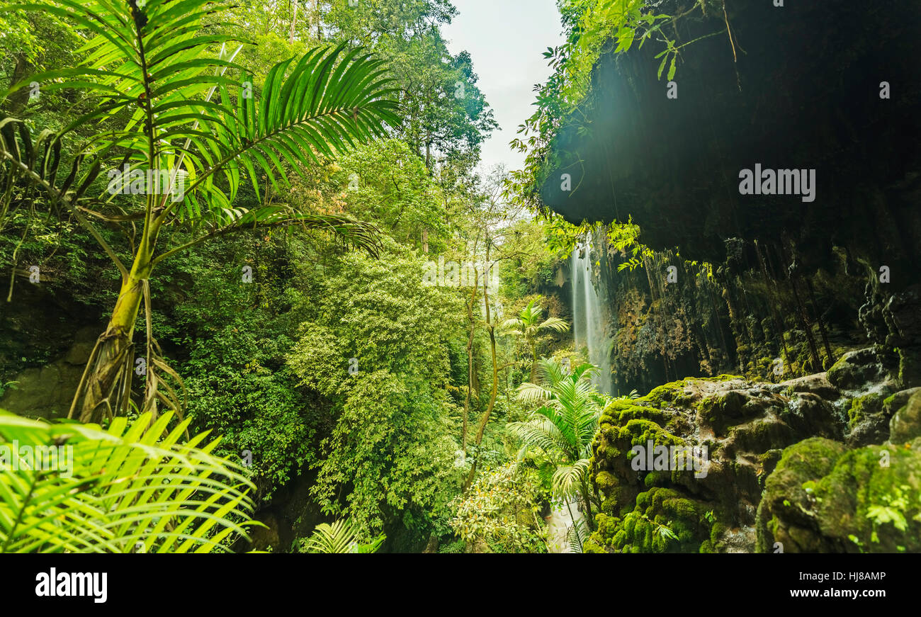 Waterfall in canyon, jungle, Kalianyar, Sempol, Eastern Java, Indonesia Stock Photo