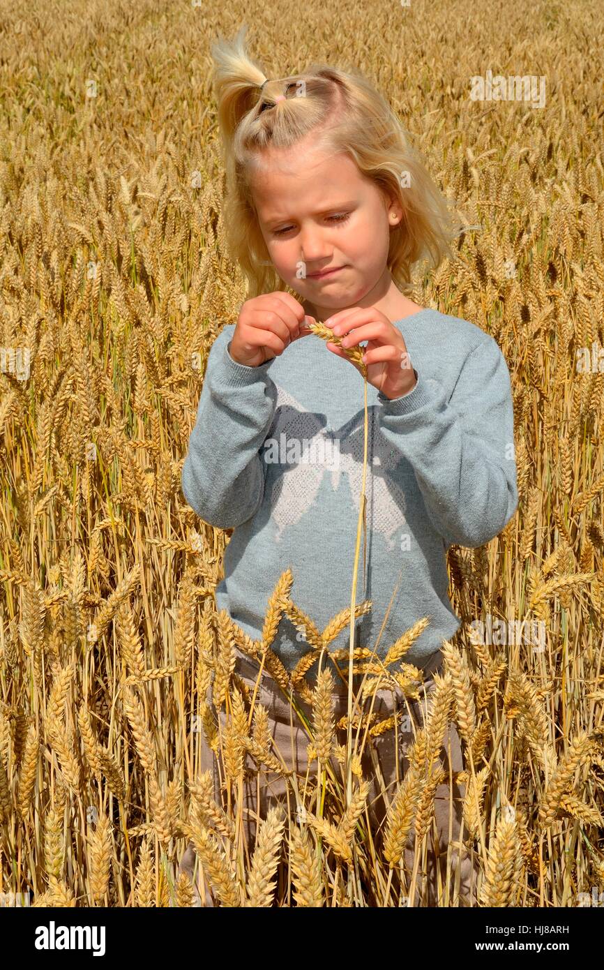 Young girl stands in wheat field, Sweden Stock Photo