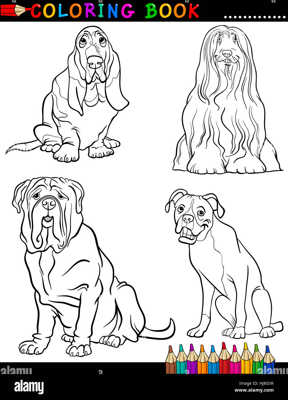 pet, dog, illustration, breed, purebred, cartoon, book, education ...