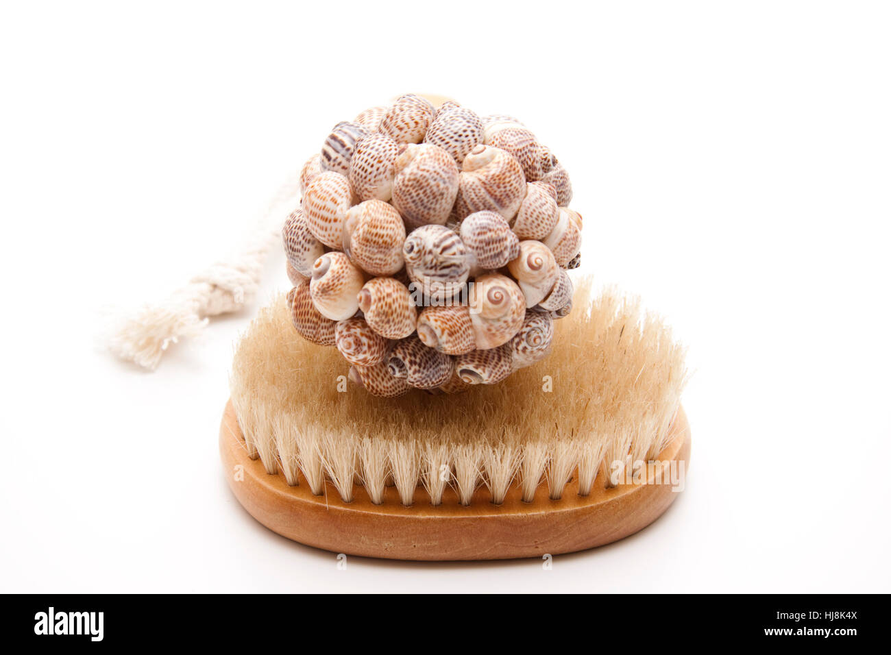 brush, hygiene, shells, mussels, brush, hygiene, bristles, personal care, spa Stock Photo Alamy