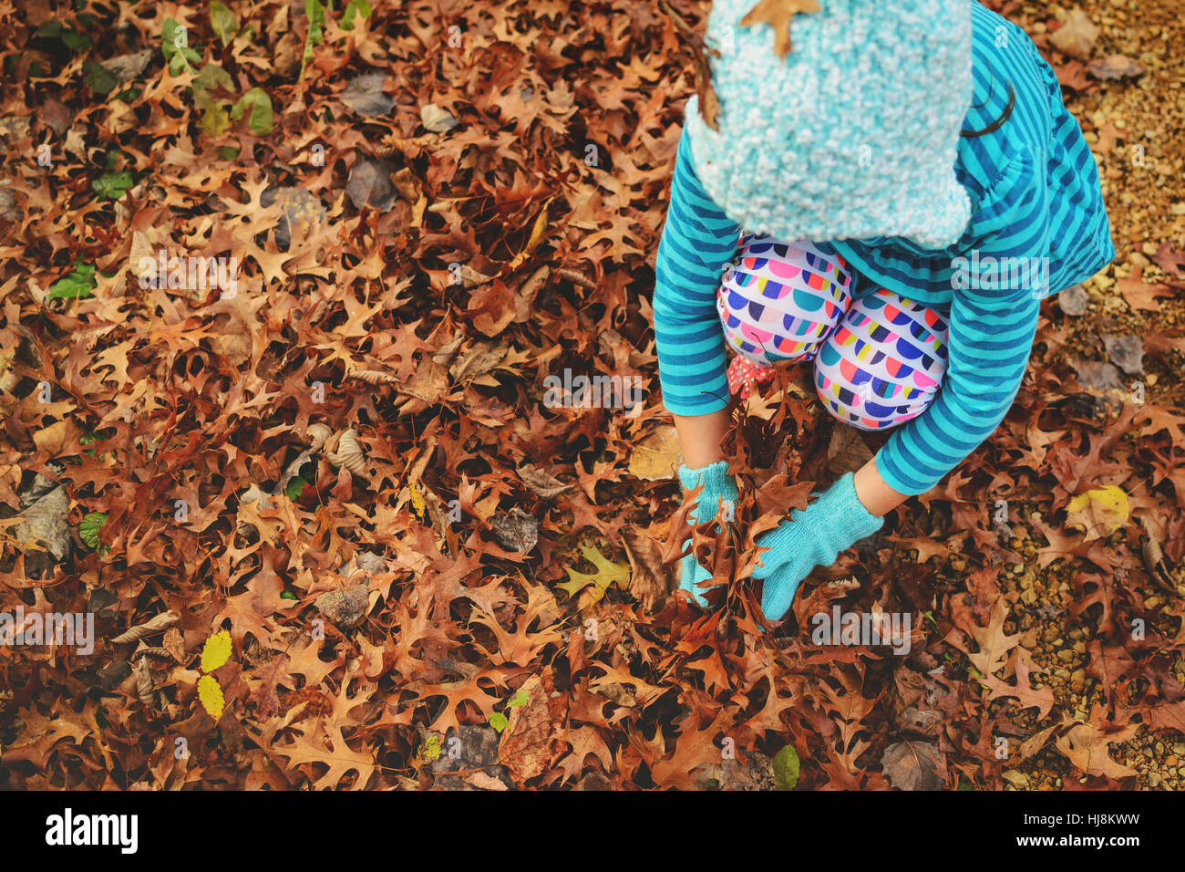 Girl playing with autumn leaves Stock Photo - Alamy