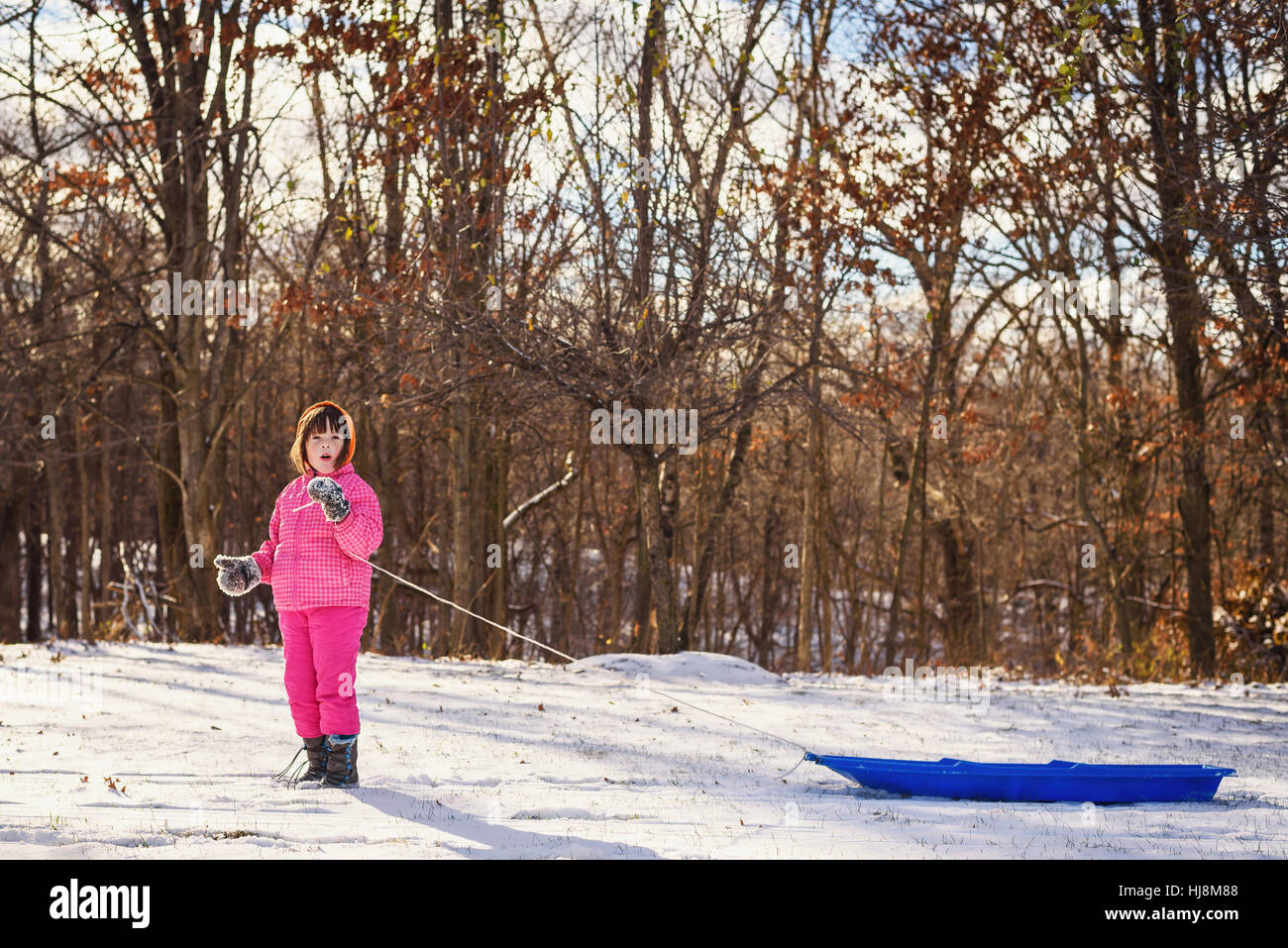 Girl pulling her sledge through the snow Stock Photo