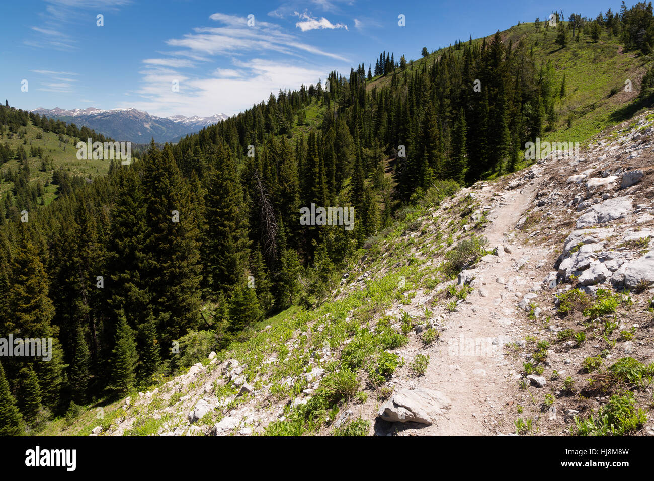 The Pole Canyon hiking trail descending toward Pole Canyon in the Snake River Mountains. Caribou-Targhee National Forest, Idaho Stock Photo