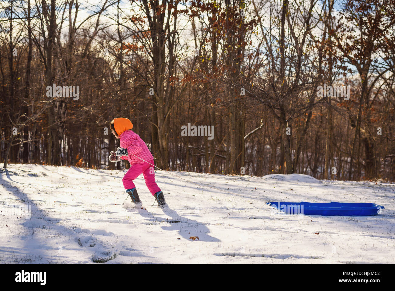 Girl pulling her sledge through the snow Stock Photo