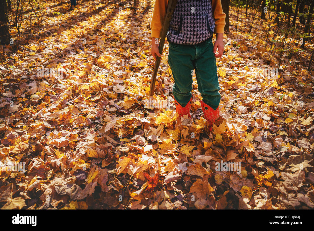 Person walking through autumn leaves hi-res stock photography and ...