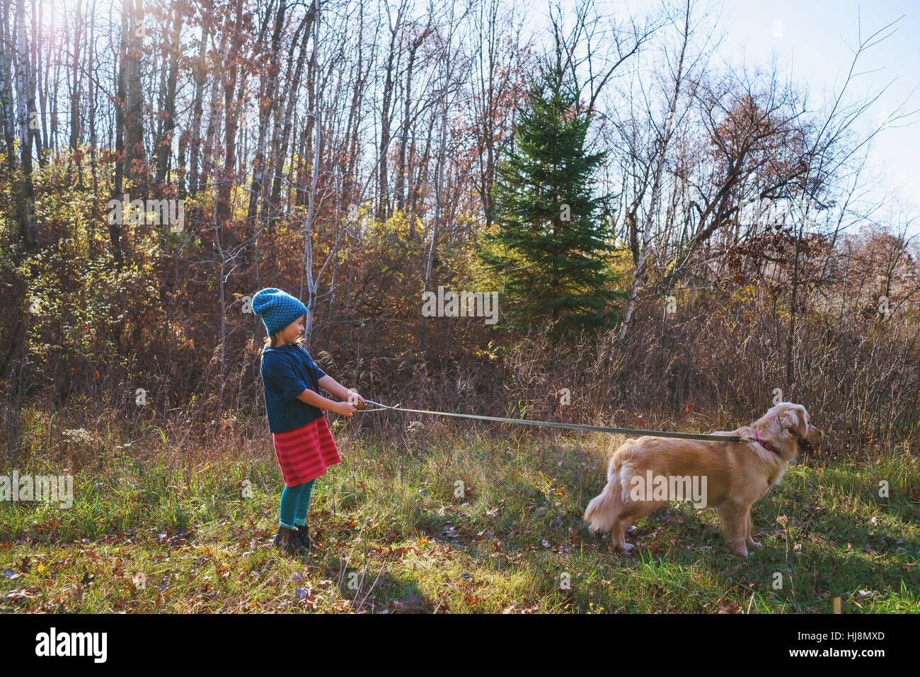 Girl taking her golden retriever puppy dog for a walk Stock Photo