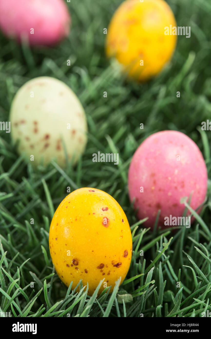 Colourful easter eggs nestled in the grass Stock Photo - Alamy