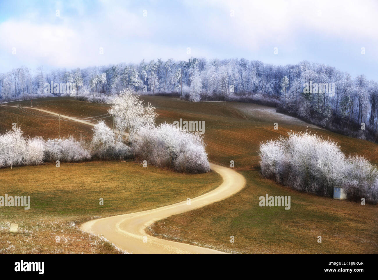 Winding road through winter landscape, Brugg, Aargau, Switzerland Stock Photo