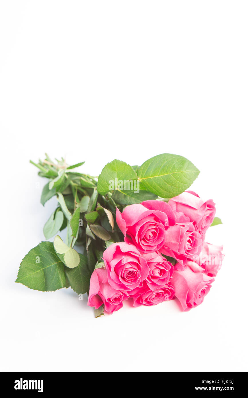 Bouquet of pink roses on a white table Stock Photo