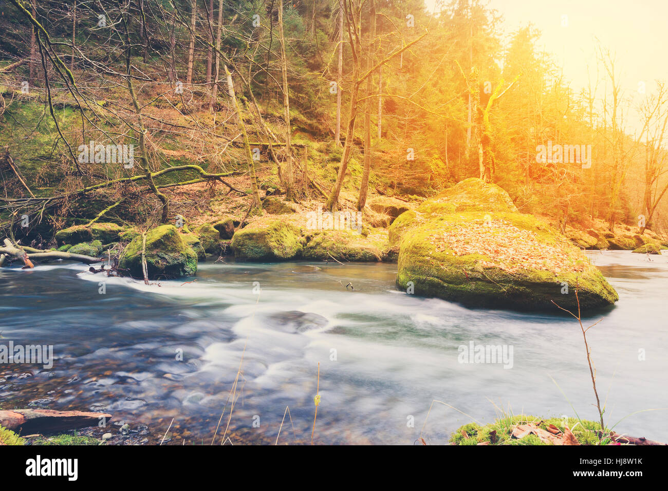 River in forest landscape during autumn, vintage filter and lens flare. Stock Photo