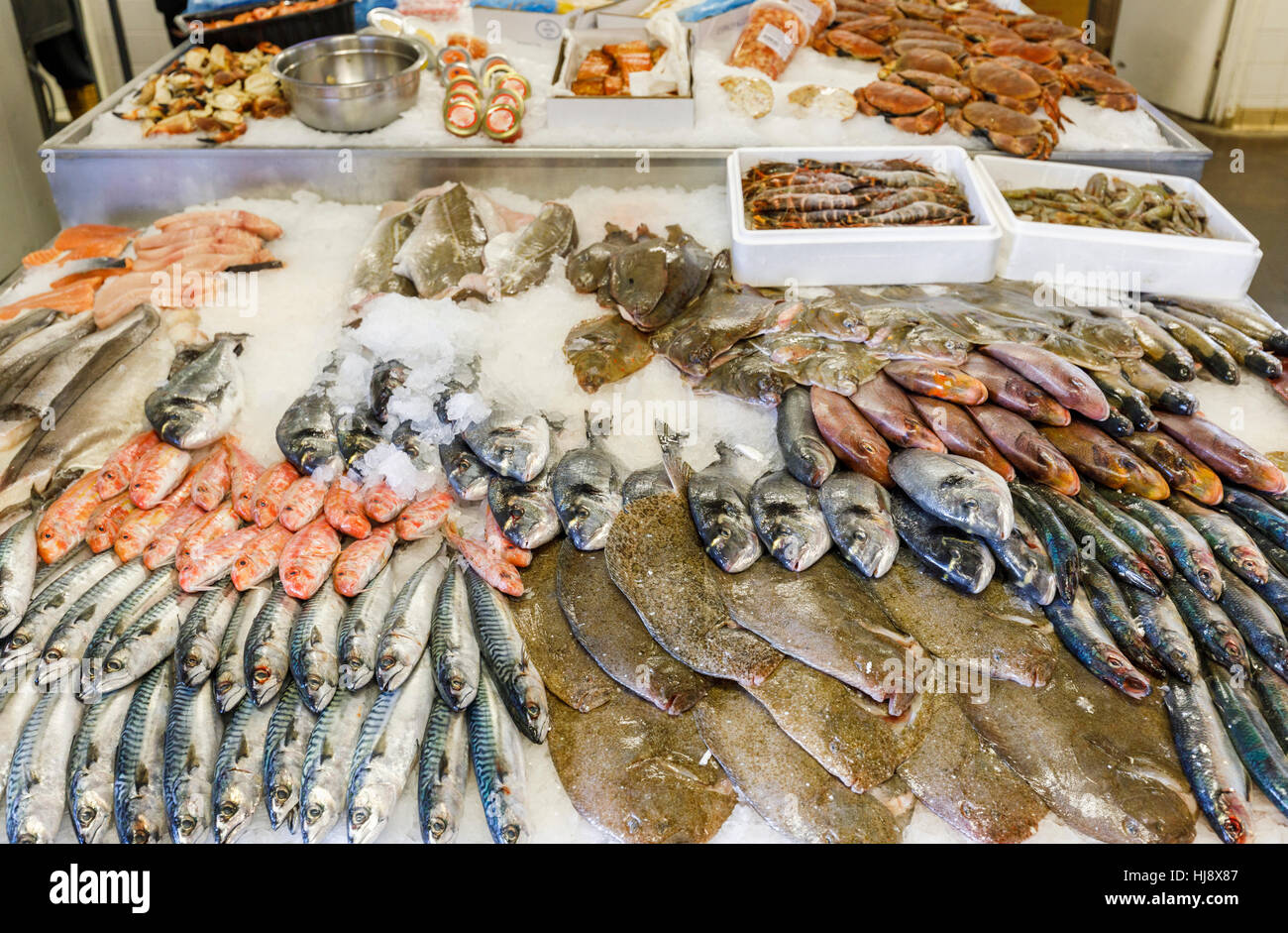 Fresh fish displayed for sale in the fish market at Camber Quay Stock Photo 131732615 Alamy