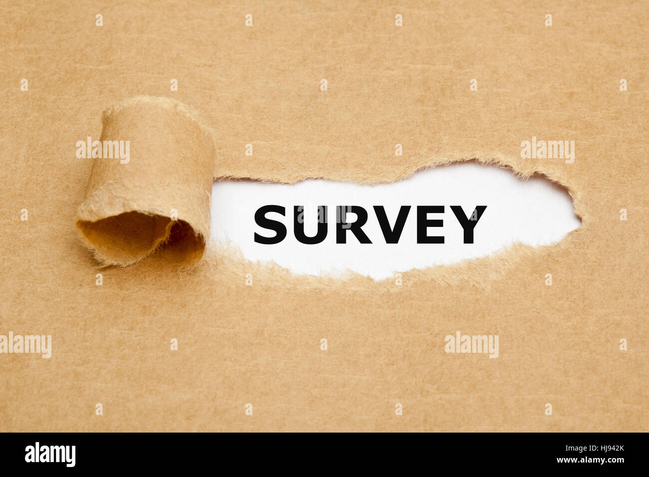 The word Survey appearing behind torn brown paper. Stock Photo