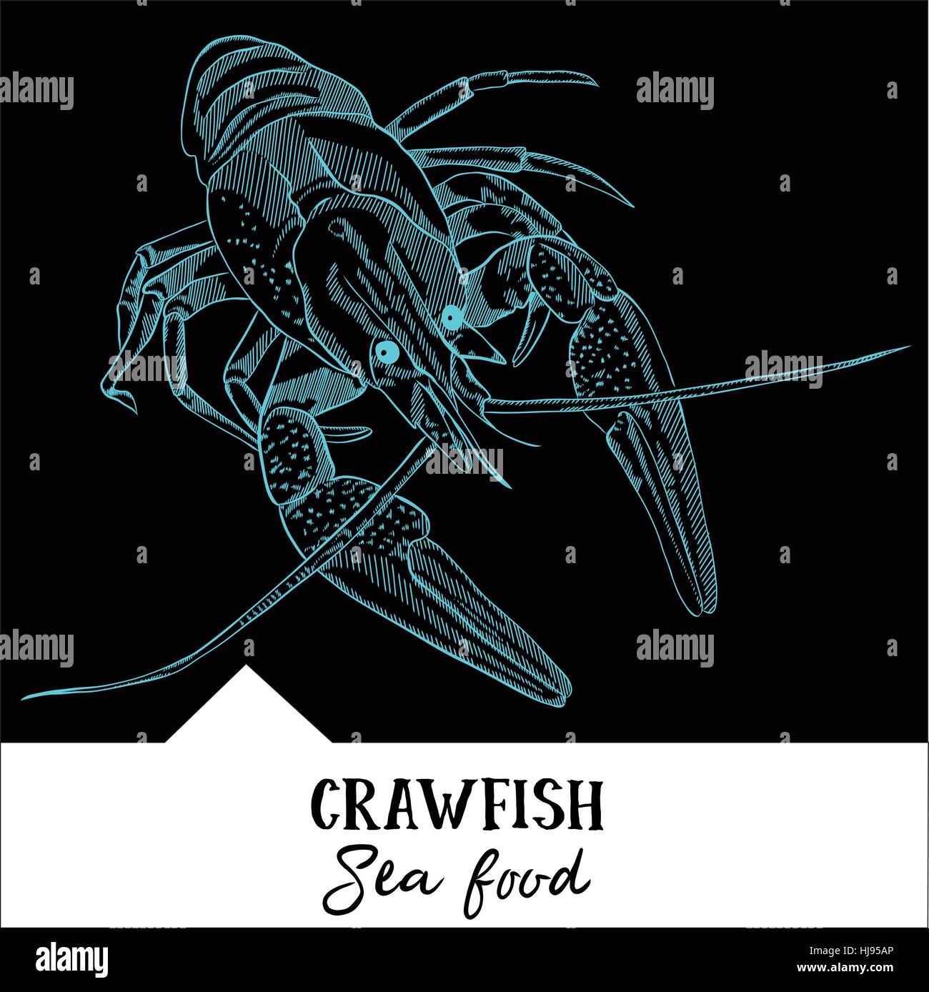 Hand drawn, vector illustration, design for a seafood restaurant menu. The picture shows the crawfish on a black background. Stock Vector