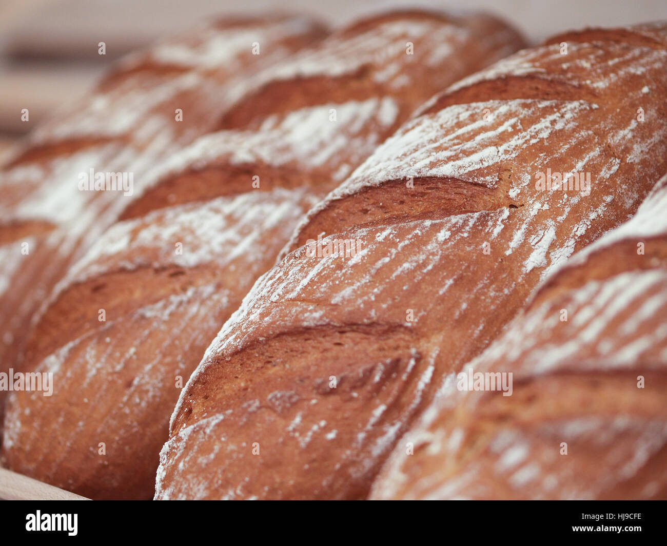 bread, baker, bakery, bakeshop, backery, whole-meal bread, bread, pastry, Stock Photo