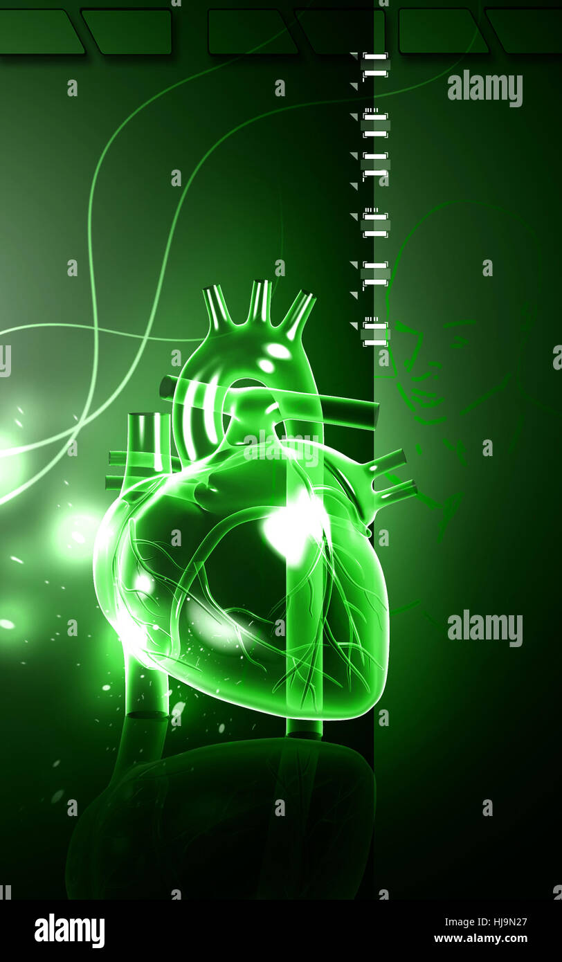 Circulation Graphics education, health, medicinally, medical, circulation, graphics, colour ...