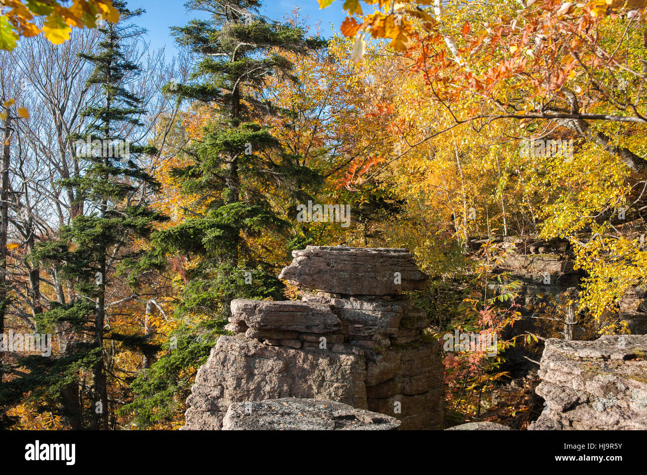 europe, autumnal, rock, woods, forested, black forest, autumn foliage, rocky, Stock Photo