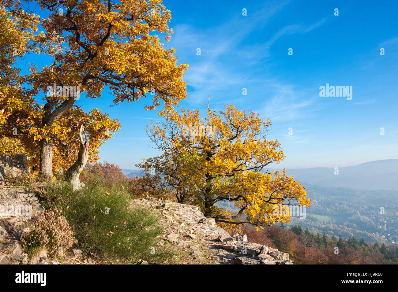 europe, autumnal, rock, woods, forested, black forest, autumn foliage, rocky, Stock Photo