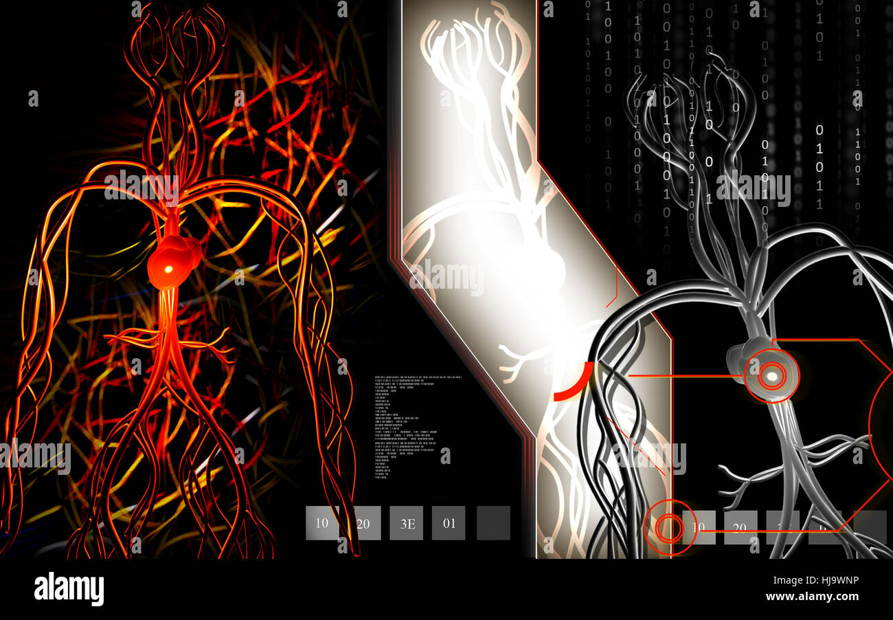 object, education, circulation, graphics, colour, human, human being ...