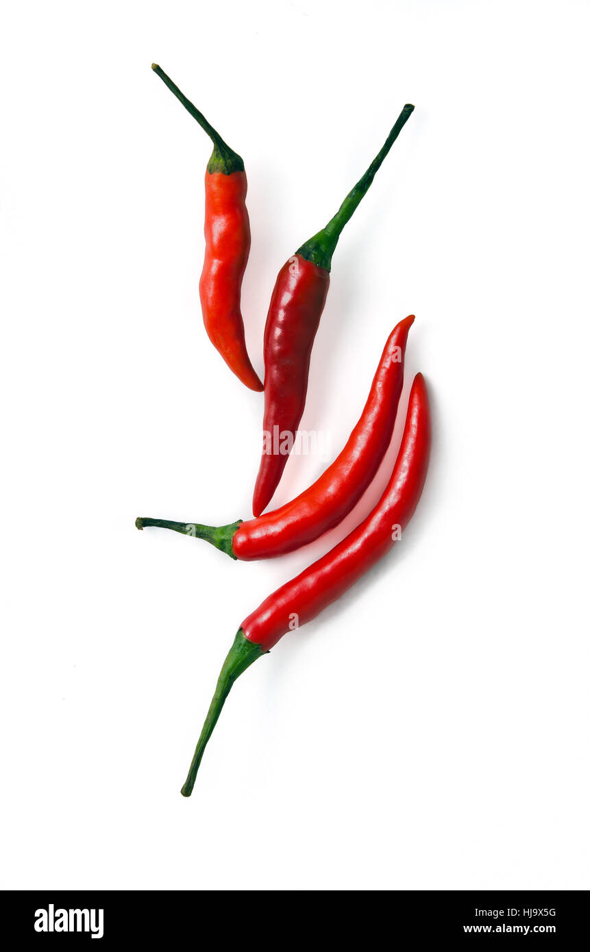 Red hot spicy chili pepper (Also named as chile pepper, Capsicum annuum, Capsicum frutescens, Capsicum Chili, or simply chilli) isolated Stock Photo