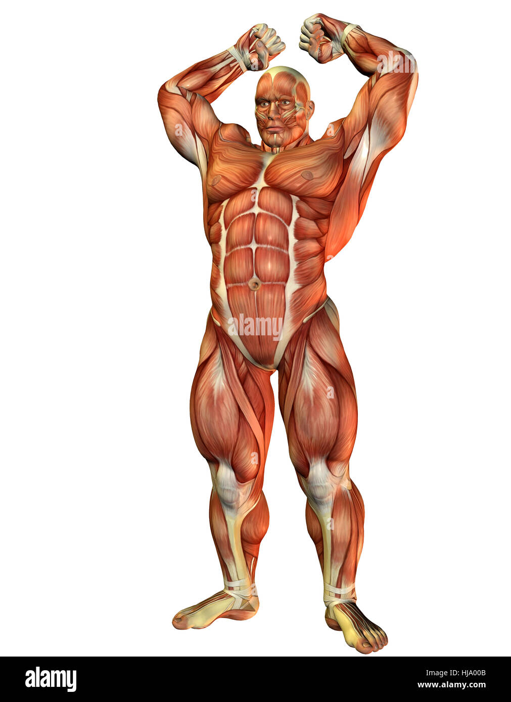 3D rendering eines Athleten beim Posen Stock Photo