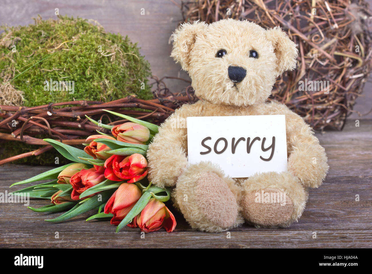 flower, flowers, plant, teddy, cuddly toy, excuse, apologize, letters, slip, Stock Photo
