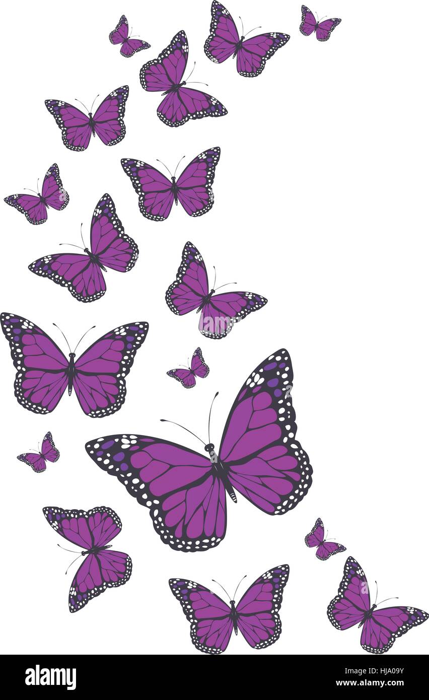 vector illustration of vintage butterflies Stock Vector Image & Art - Alamy