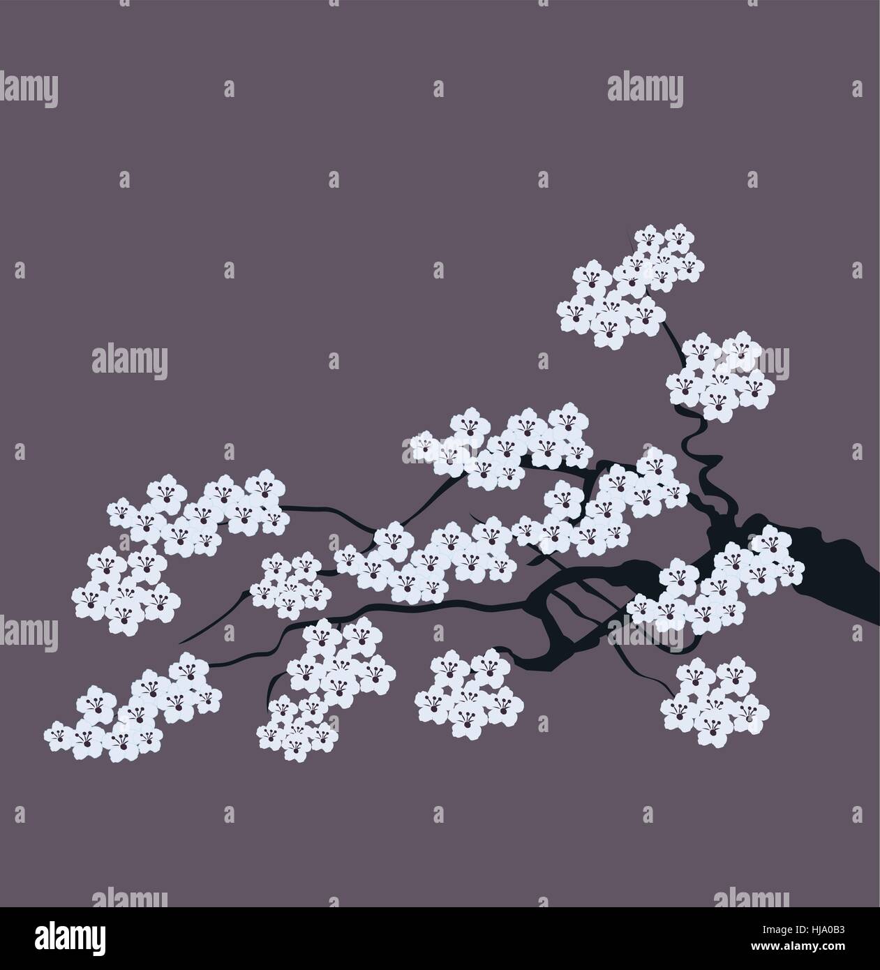 vector illustration of cherry blossom branch Stock Vector Image & Art ...