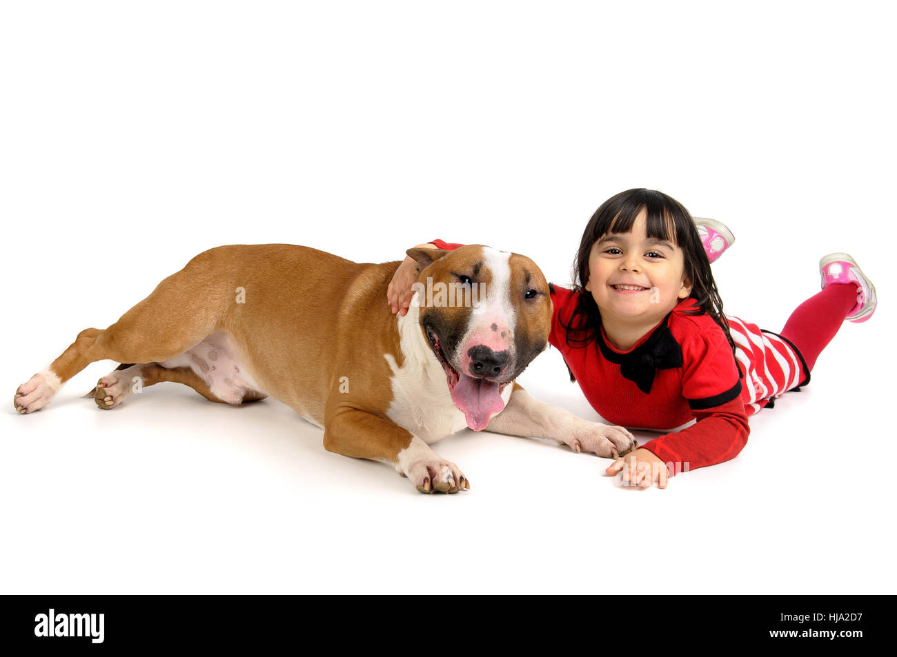 friendship, bull, dog, canine, child, girl, girls, children, kids, friendship, Stock Photo