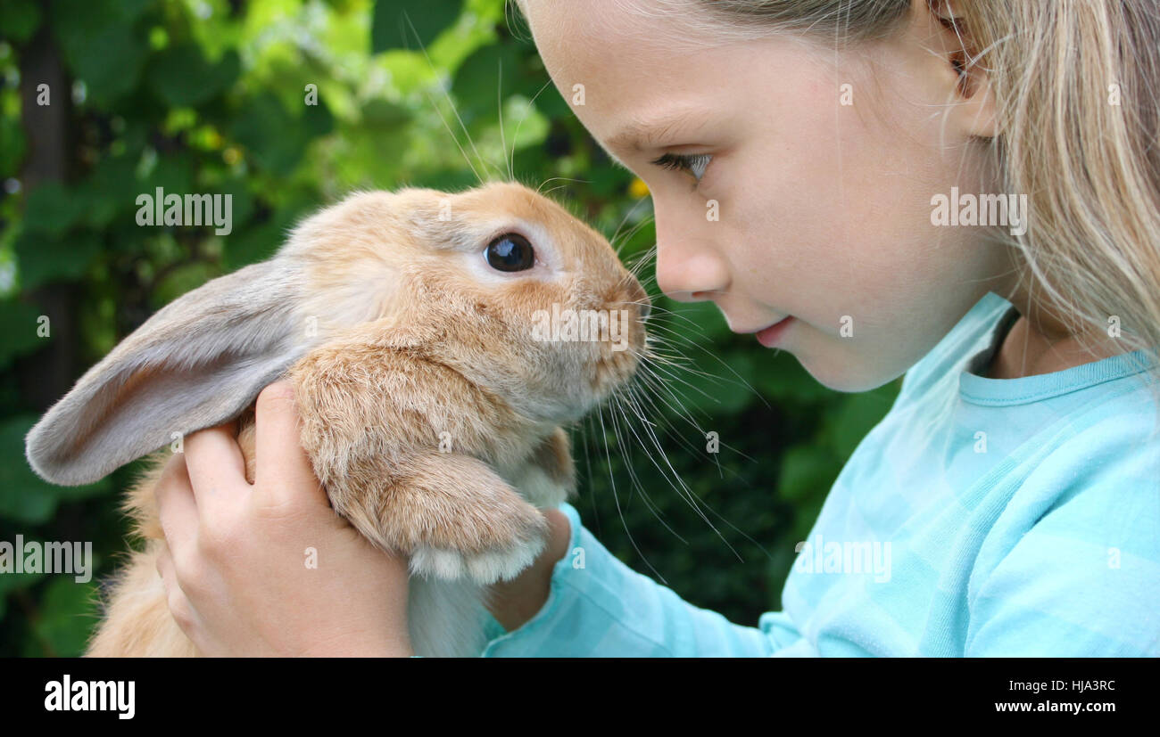 animals, rabbit, hare, hold, easter-bunny, young, younger, child, rabbits, Stock Photo