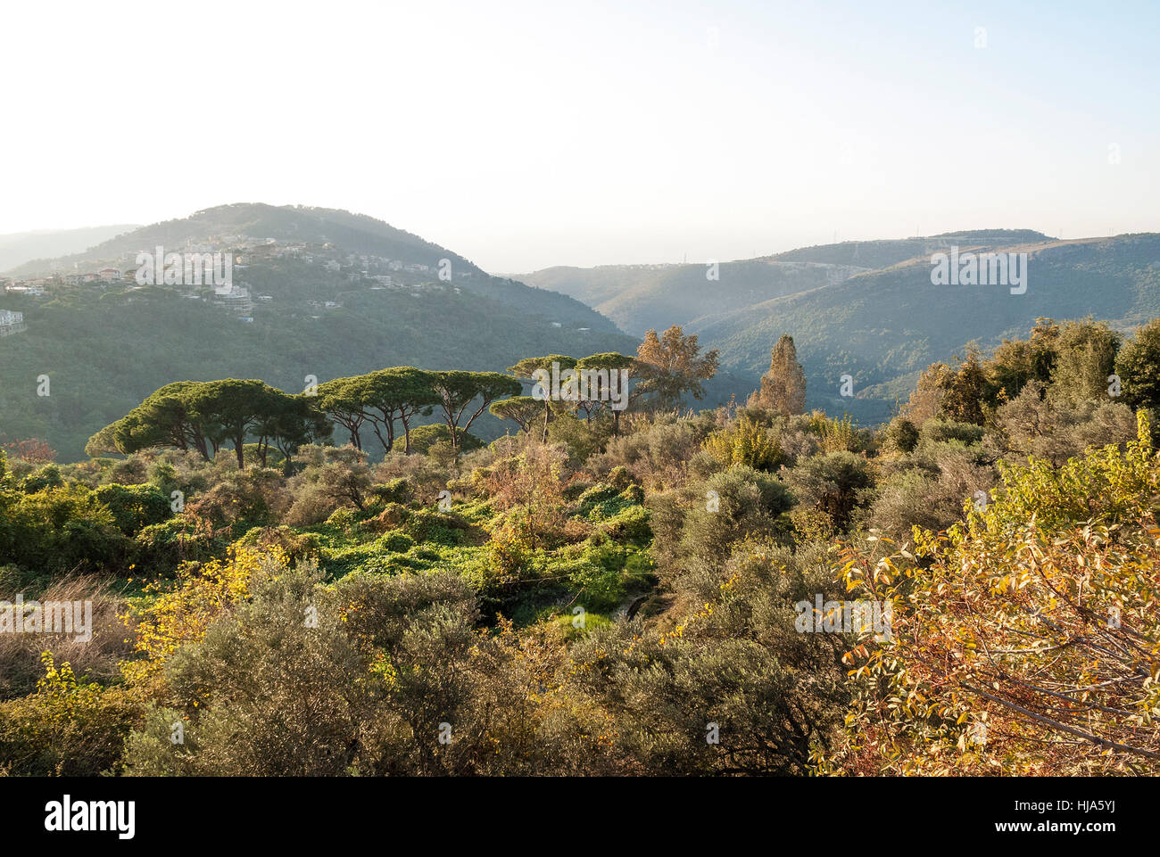 mountains, lebanon, middle east, landscape, scenery, countryside, nature Stock Photo Alamy