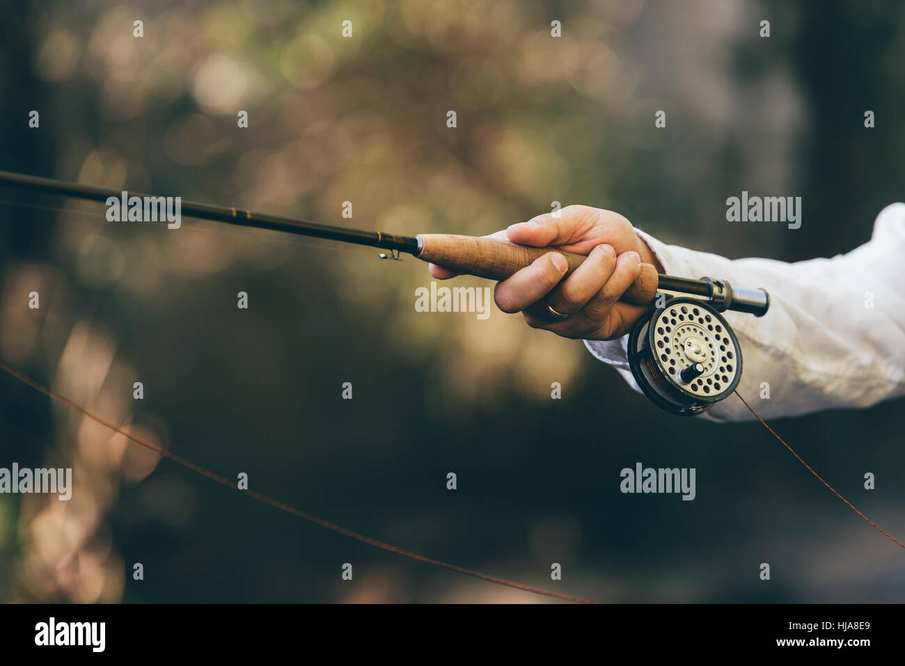 Fly fishing rod in fisherman hand Stock Photo Alamy