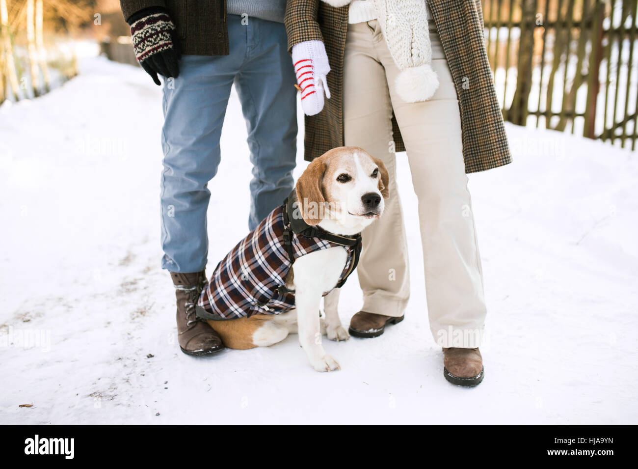 Unrecognizable senior couple outdoors with dog in winter nature Stock ...