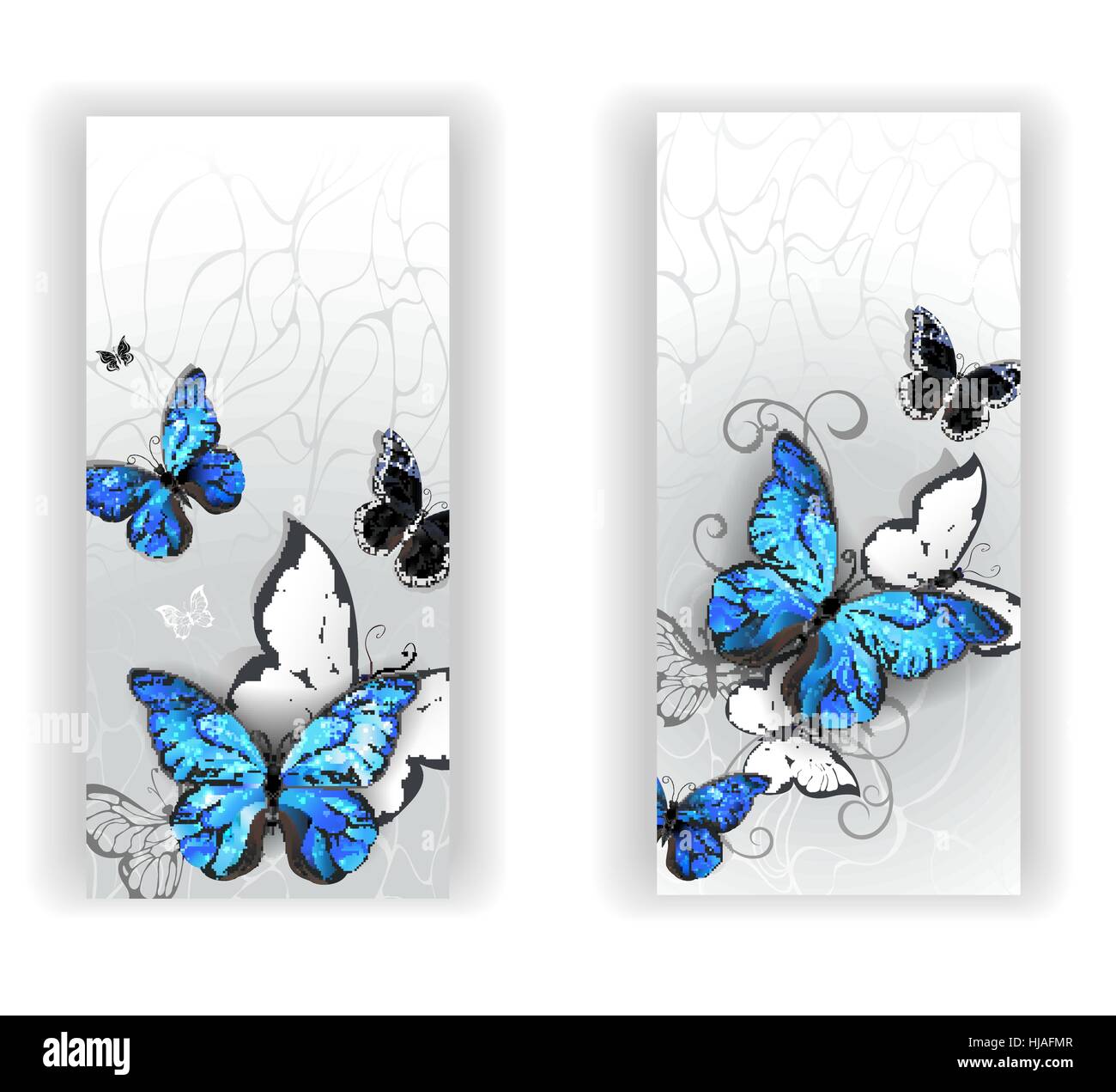 Two banners with blue butterflies morpho and black butterflies on gray textural background. Morpho. Stock Vector
