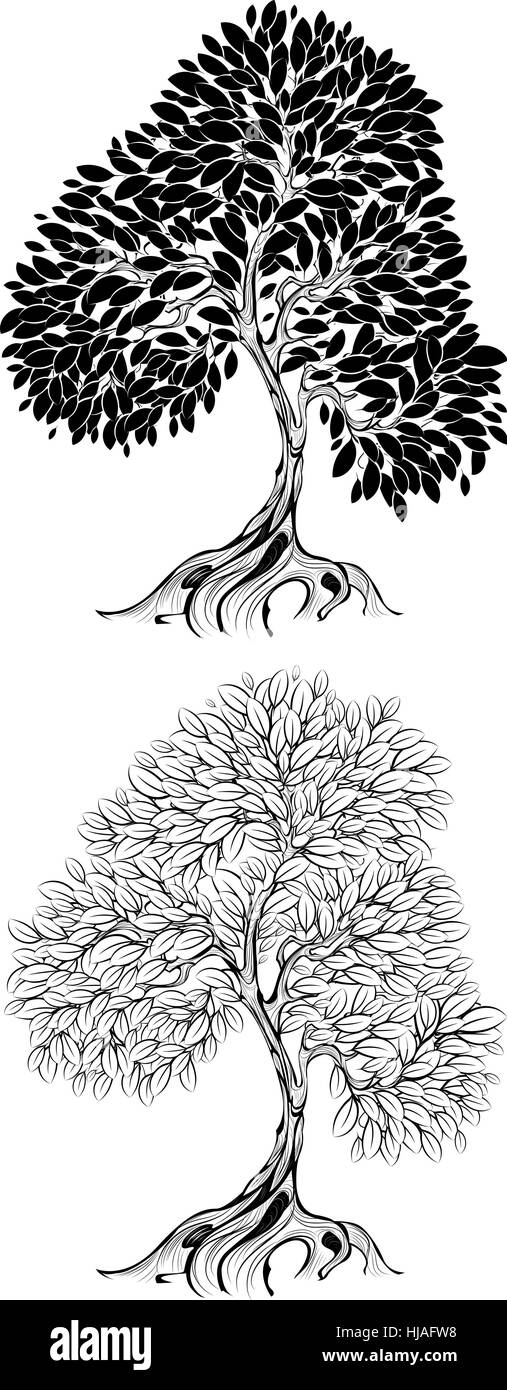 two artistically drawn , outline tree on a white background. Stock Vector