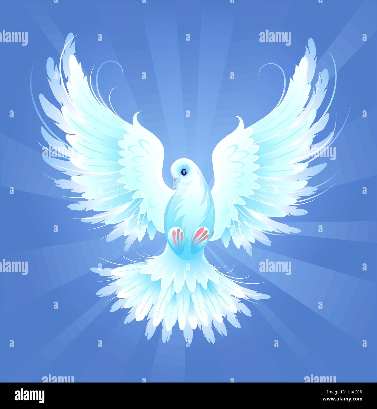 White dove flying on a white background hires stock photography and