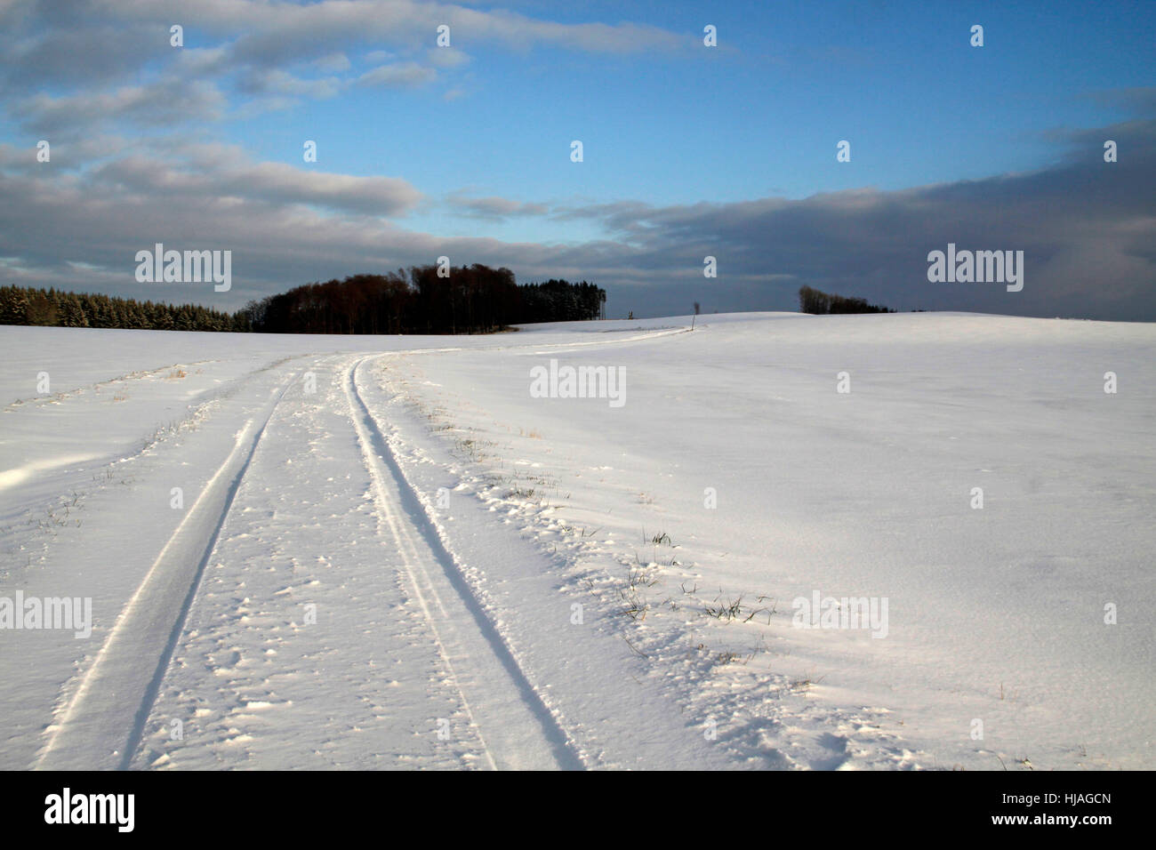 winter, cold, shine, shines, bright, lucent, light, serene, luminous, sunny, Stock Photo