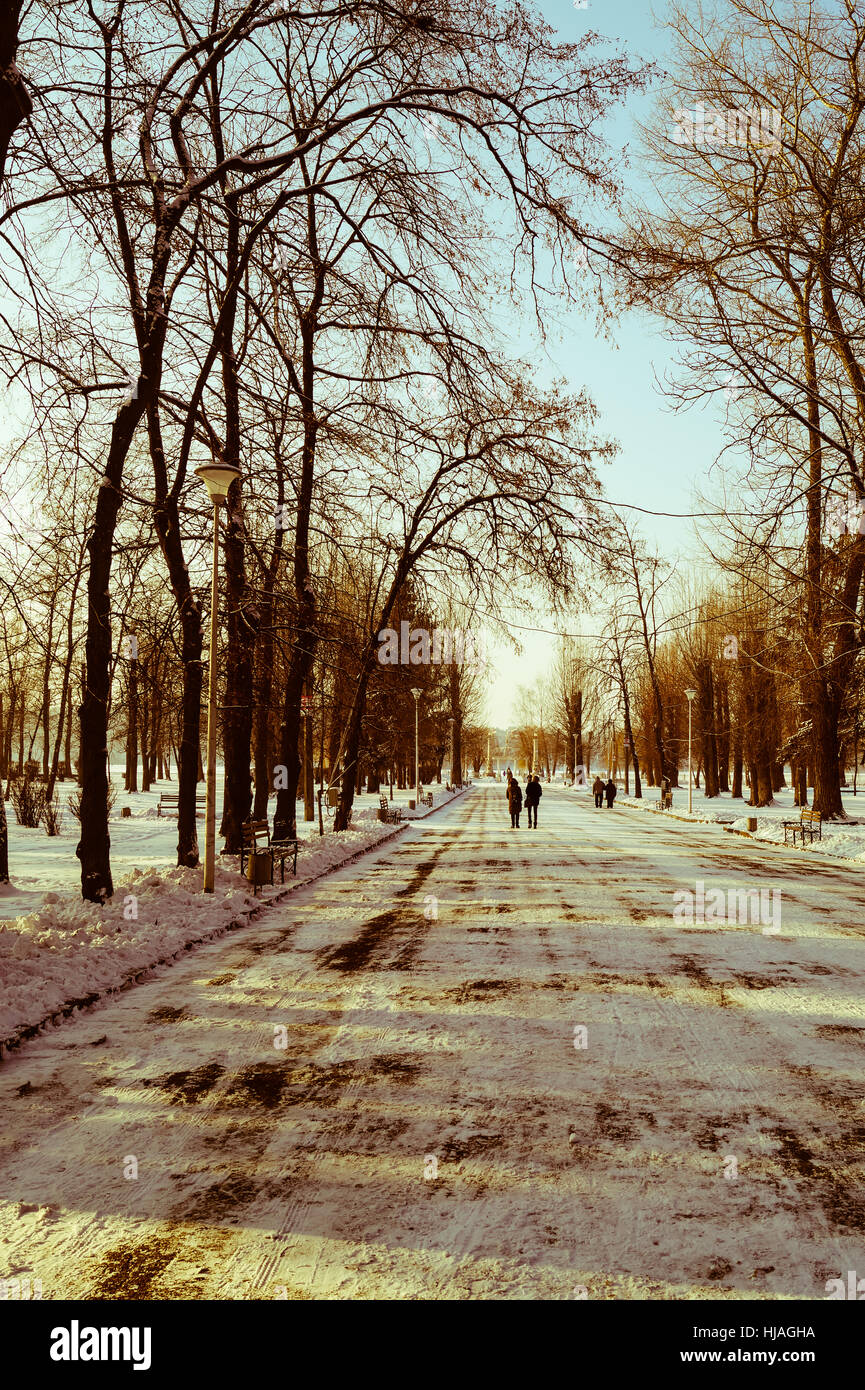 beautiful winter landscape in the Park in the city Stock Photo