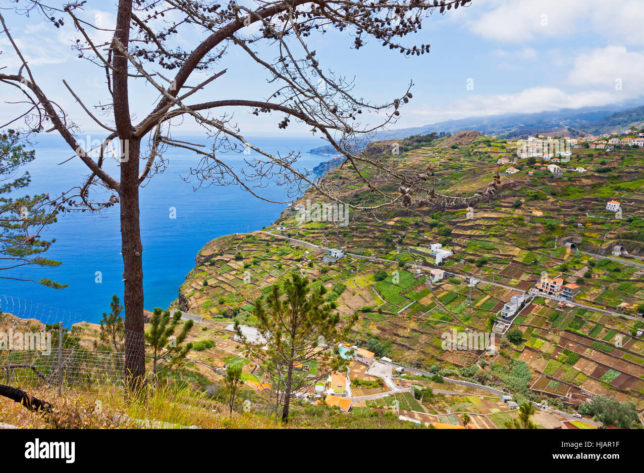Picturesque view on Atlantic Ocean coast near Mirador de Cabo Girao on Madeira island, Portugal Stock Photo