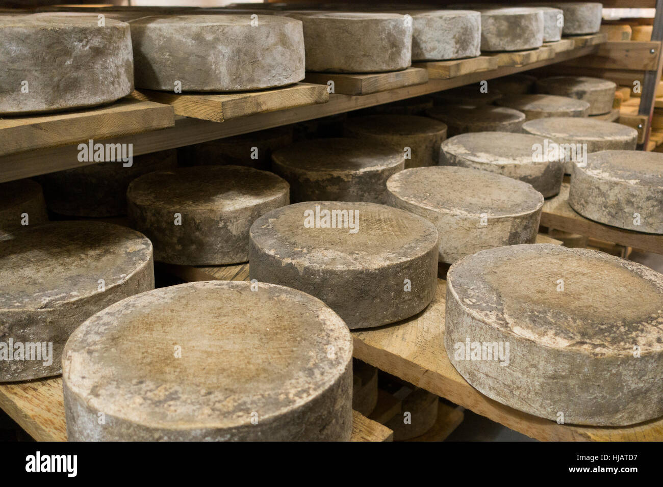 Crown cheese finish caves in Brooklyn nyc Stock Photo Alamy