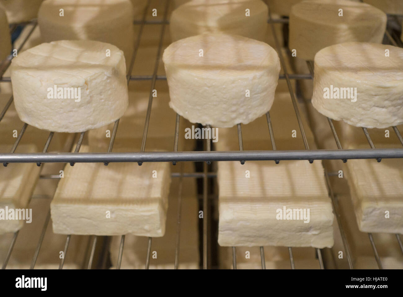 Crown cheese finish caves in Brooklyn nyc Stock Photo Alamy