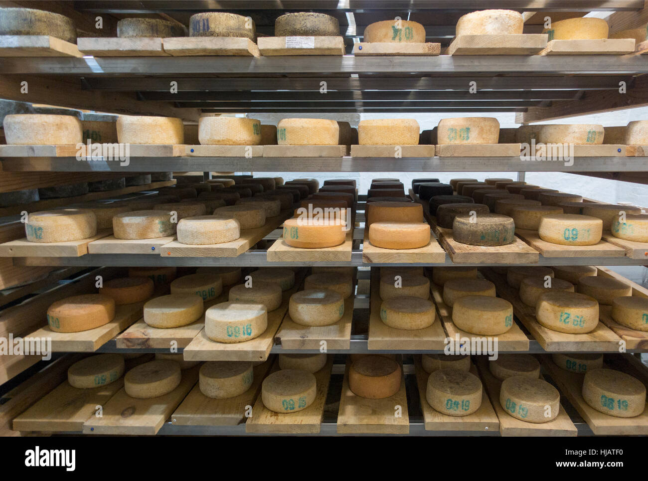 Crown cheese finish caves in Brooklyn nyc Stock Photo Alamy