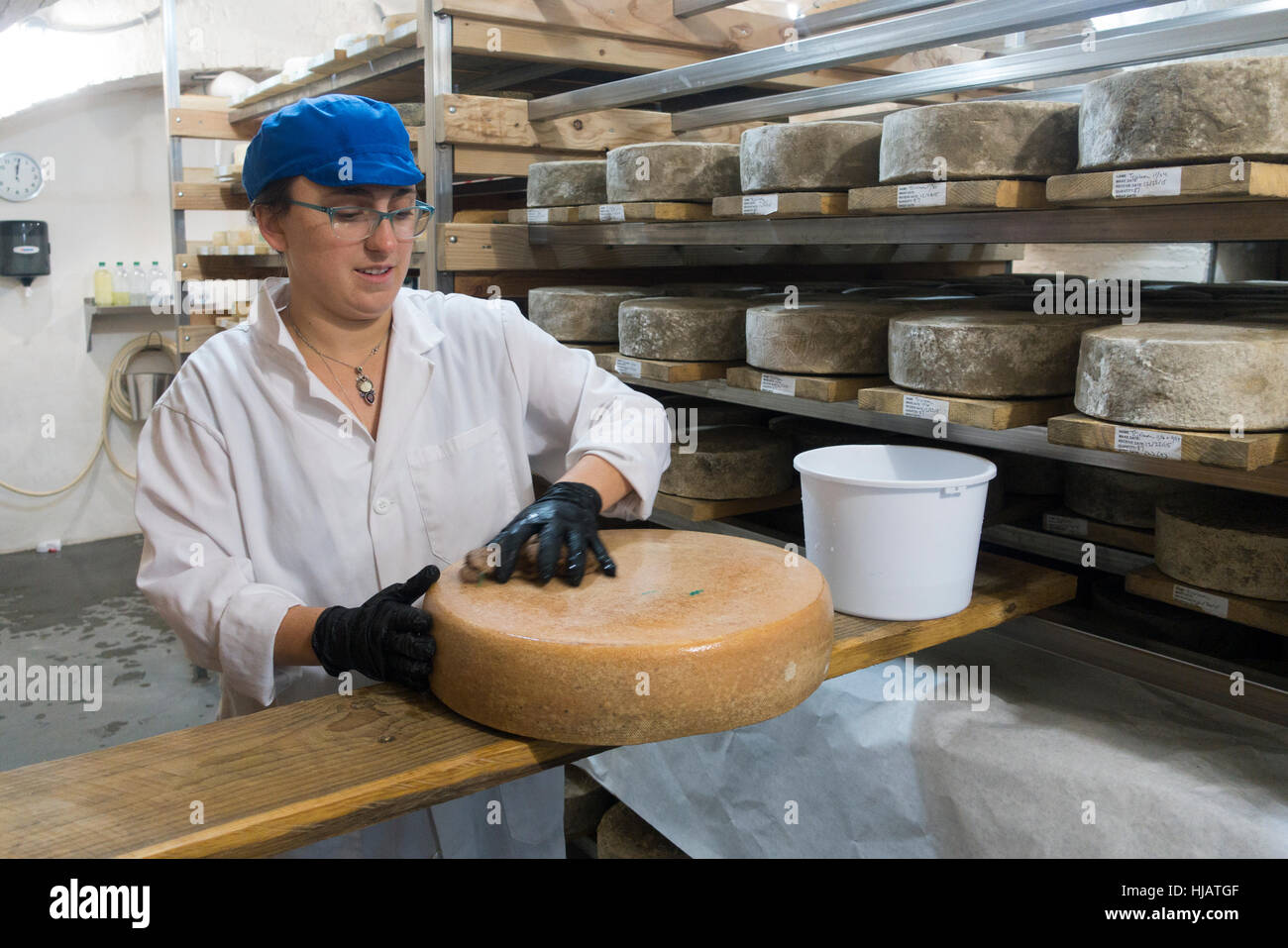 Crown cheese finish caves in Brooklyn nyc Stock Photo Alamy