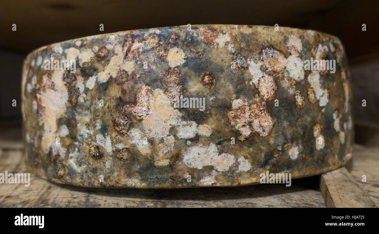 Crown cheese finish caves in Brooklyn nyc Stock Photo Alamy