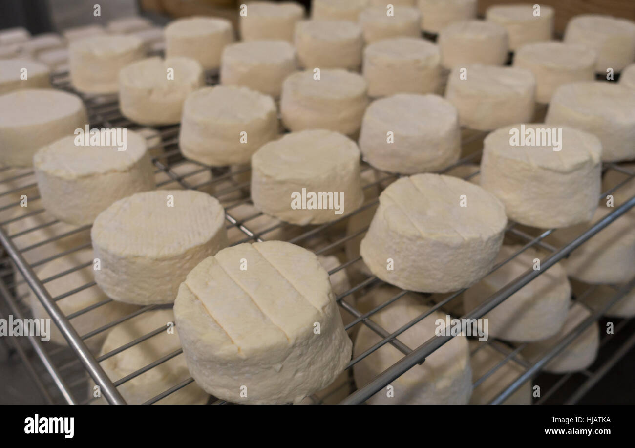 Crown cheese finish caves in Brooklyn nyc Stock Photo Alamy