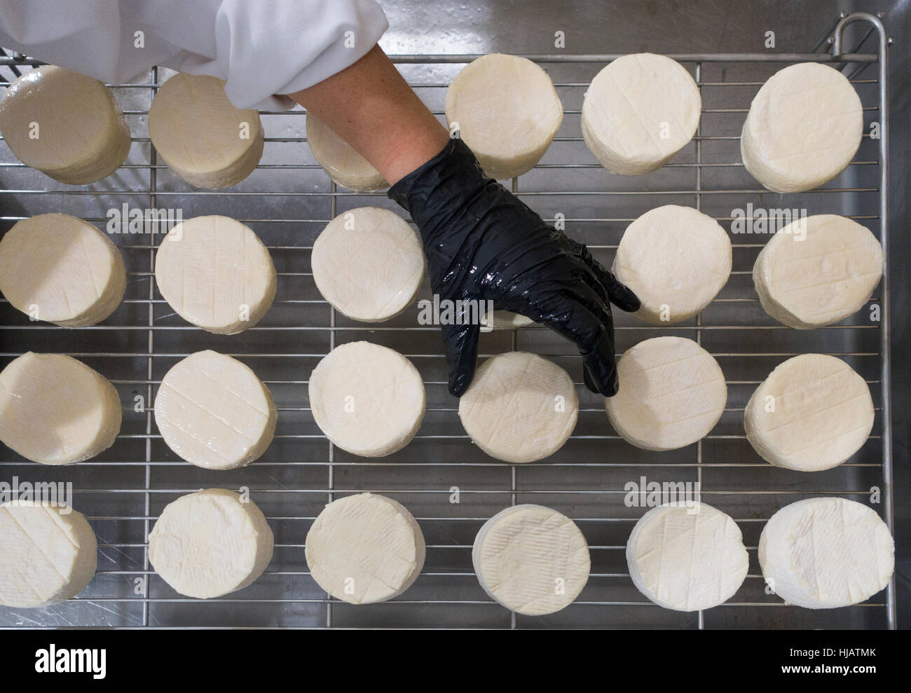 Crown cheese finish caves in Brooklyn nyc Stock Photo Alamy