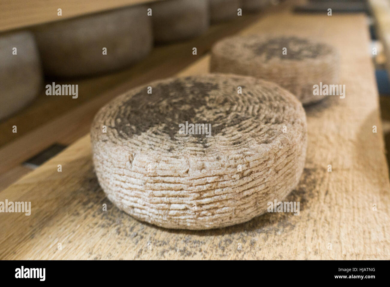Crown cheese finish caves in Brooklyn nyc Stock Photo Alamy