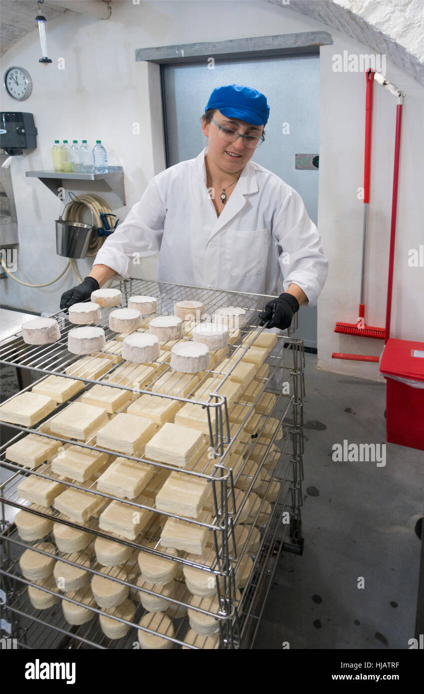 Crown cheese finish caves in Brooklyn nyc Stock Photo Alamy